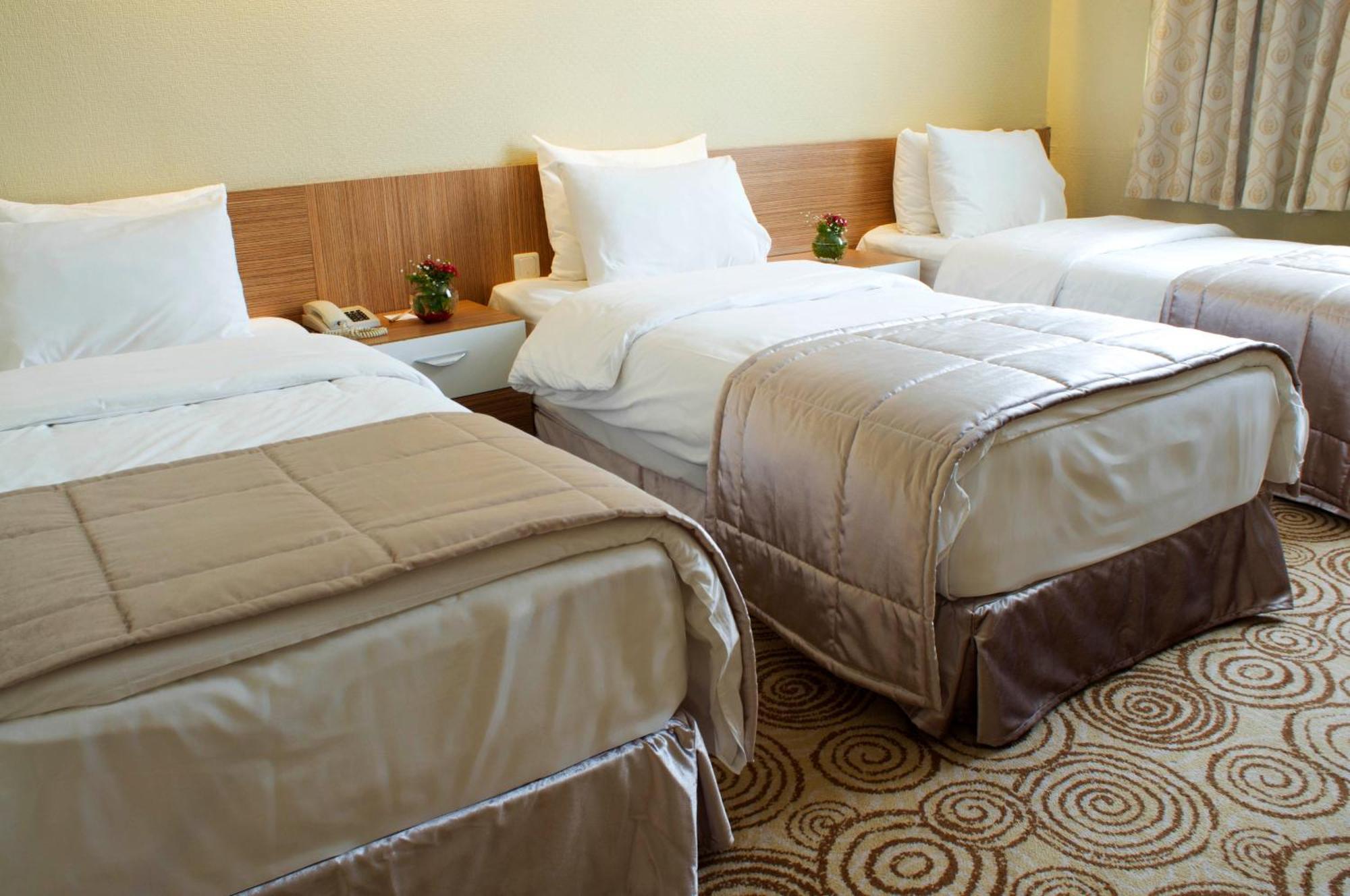 Elite Hotel Dragos Istanbul Bilik gambar
